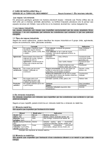 Resum-L1.pdf