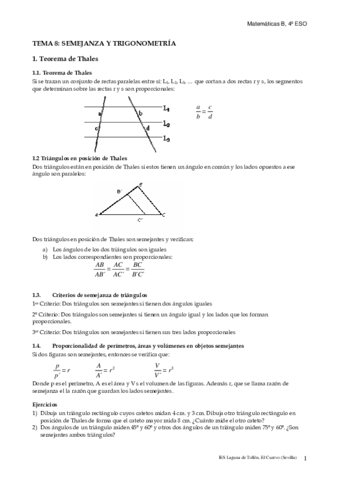 SEMEJANZA-Y-TRIGONOMETRIA.pdf