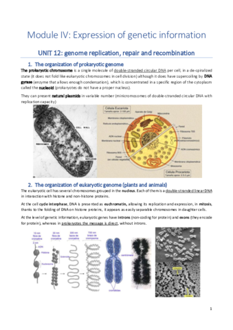 Biochemistry-module-IV.pdf