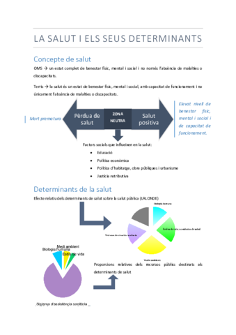 Salut Pública (TOT).pdf