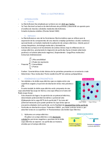 TEMA-12-.pdf