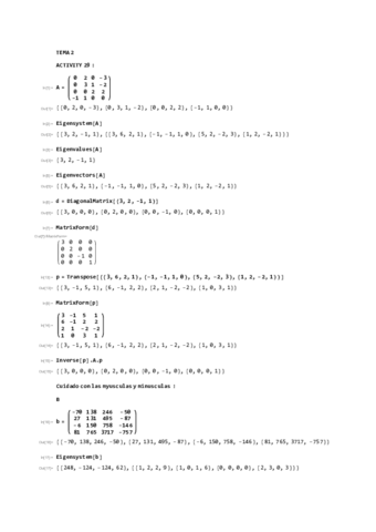 mathematica-tema-2.pdf
