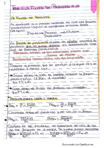 Apuntes-COMPLETOS-Micro-III.pdf