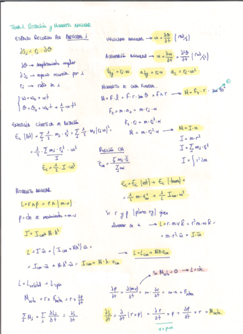TEMA-1.pdf