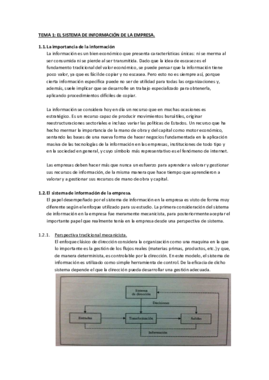 Tema 1 sistemas de información.pdf