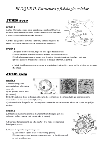 BLOQUE-II.pdf
