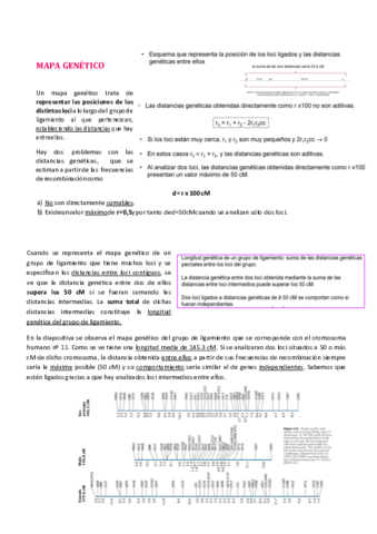 TEMA-5-II.pdf