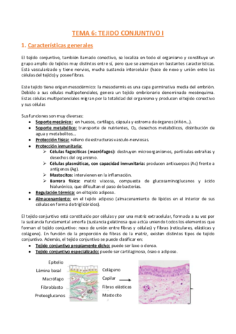 TEMA-6-Histologia.pdf