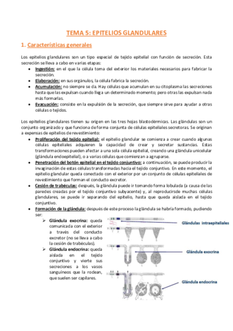 TEMA-5-Histologia.pdf