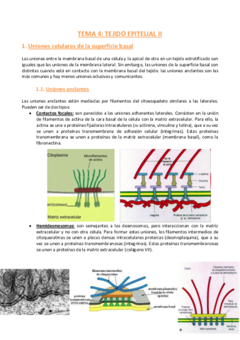 TEMA-4-Histologia.pdf