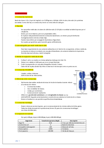 IB-biologia-3.pdf