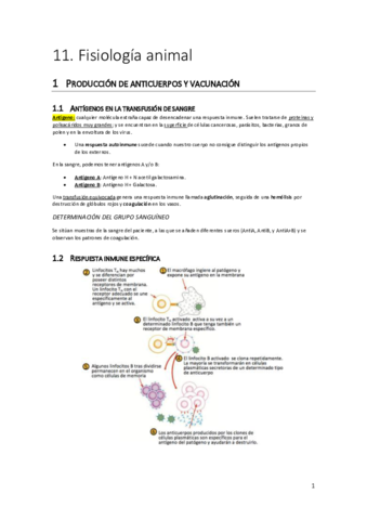 IB-biologia-Unidad-11.pdf