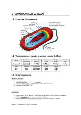 IB-biologia-1.pdf