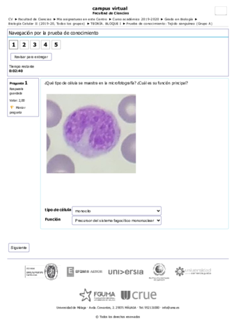 Cuestionario-tejido-sanguineo-BC-II.pdf