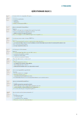 Qüestionari Bloc 1.pdf