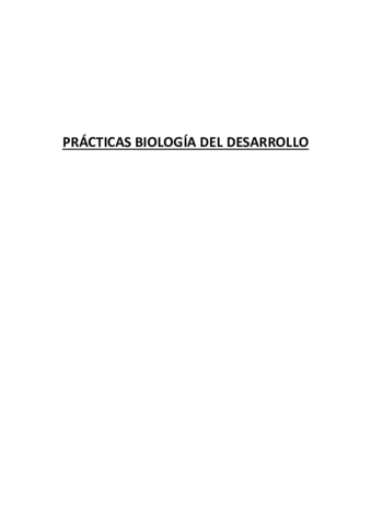 Practicas-DESARROLLO.pdf