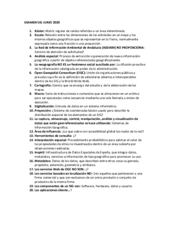 EXAMEN-SIG-Y-TELE-JUNIO-2020.pdf