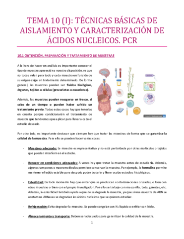 TEMA-10-I-bueno.pdf