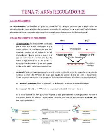 TEMA-7-bueno.pdf