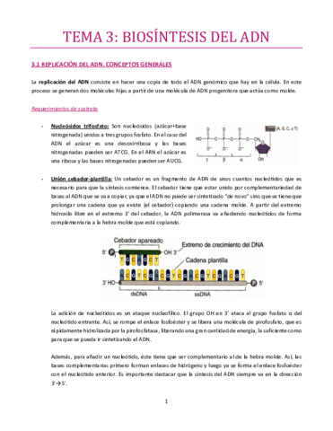 TEMA-3-bueno.pdf