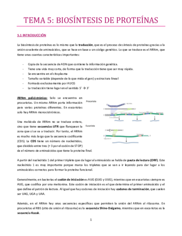 TEMA-5-bueno.pdf