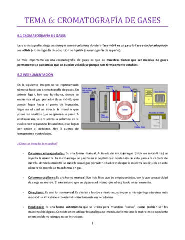 TEMA-6-bueno.pdf