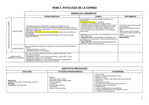 TEMA-5.pdf