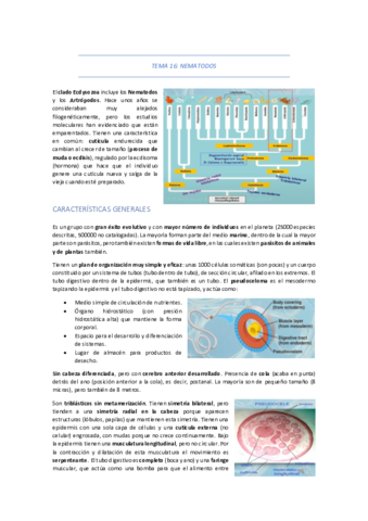 TEMA-16-NEMATODOS.pdf