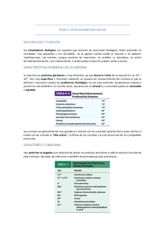 TEMA-5-CATALIZADORES-BIOLOGICOS.pdf