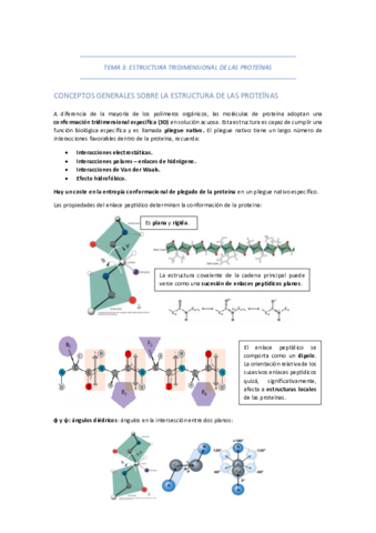 TEMA-3-ESTRUCTURA-TRIDIMENSIONAL-DE-LAS-PROTEINAS.pdf