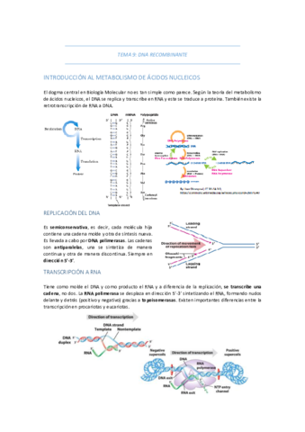 TEMA-9-DNA-RECOMBINANTE.pdf