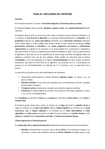 TEMA-24AFECCIONES-DEL-INTESTINO.pdf