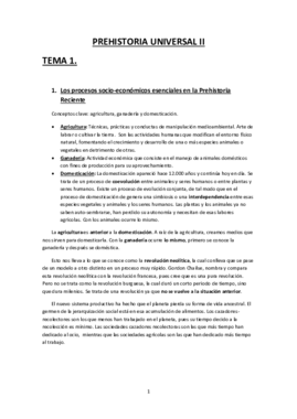 PREHISTORIA UNIVERSAL II- resumen.pdf