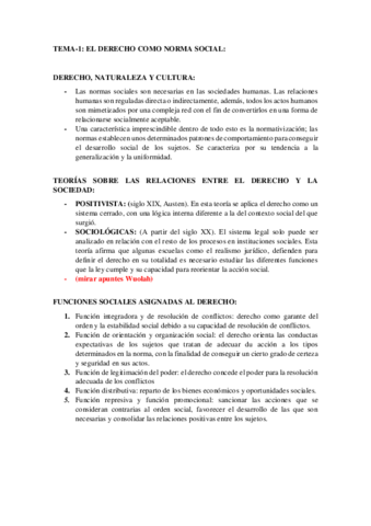 RESUMEN-TEMAS-DERECHO.pdf