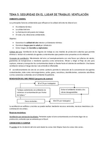 TEMA-5-pasado.pdf