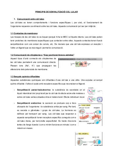PRINCIPIS-DE-SENYALITZACIO-CELLULAR-Documentos-de-Google.pdf