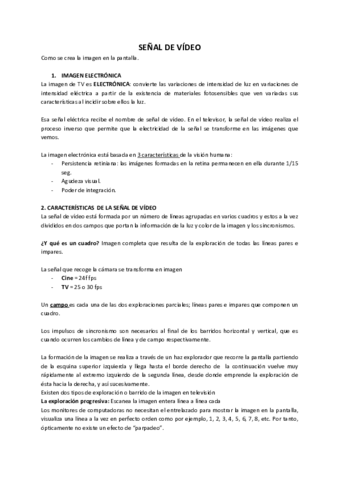 resumensenaldevideo.pdf