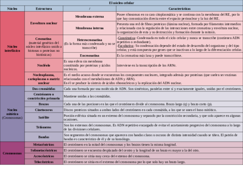 Tabla-del-nucleo-celular.pdf
