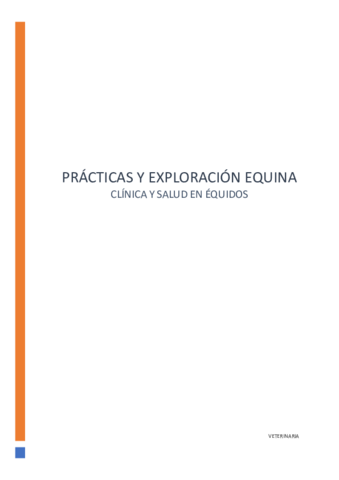 Practicas-CSE.pdf