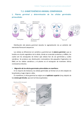 Tema-2.pdf