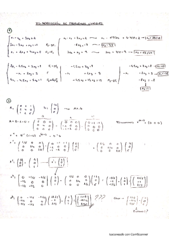 T2-resolucion-de-problemas-lineales.pdf