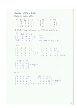 MATRICES EXAMEN 13-1-14.pdf