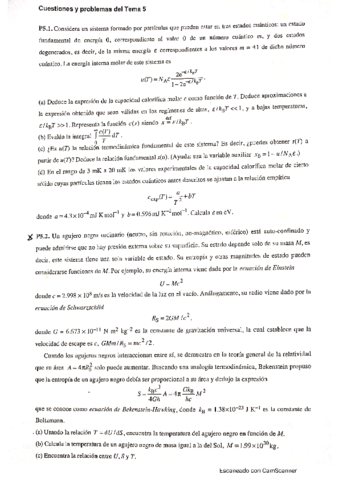 T5-Termodinamica-estadistica-aplicada-al-estudio-de-algunos-sistemas.pdf