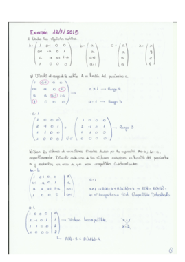 EXAMEN 12-01-2015.pdf