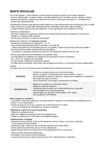 MIrregular-y-Masas-Derivadas.pdf