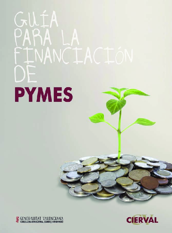 Guia-financiacion-pymes-CIERVAL.pdf