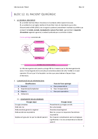 Pacient-en-proces-quirurgic-Apunts.pdf