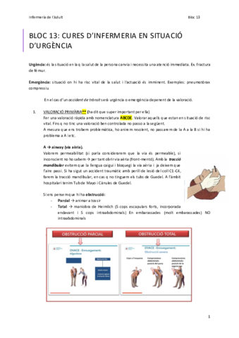 BLOC-13-cures-demergencia-Apunts.pdf