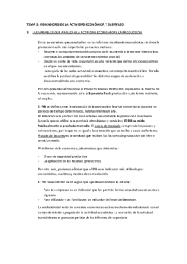 TEMA 3 IAE.pdf