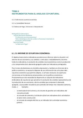 TEMA 6 IAE.pdf